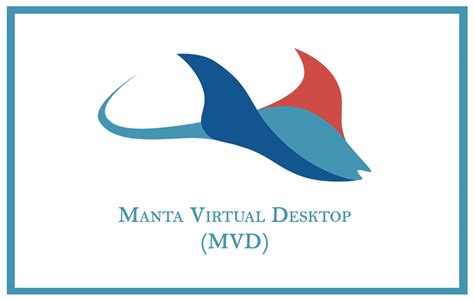 Coast Guard's Manta Virtual Desktop revolutionizes work